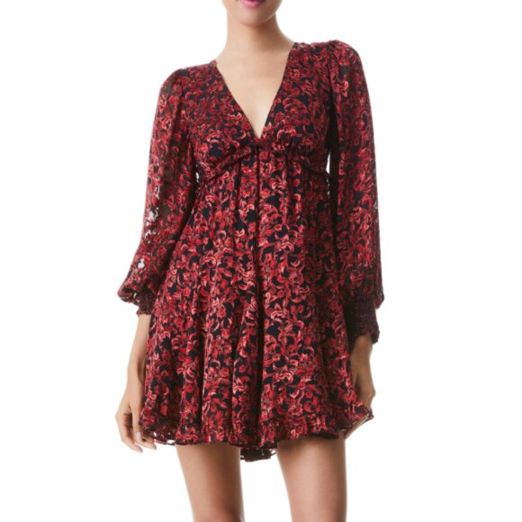 Alice + Olivia 'Briar Upstate Scroll' Burnout Mini-Dress, Deep Ruby - Picture 3 of 5